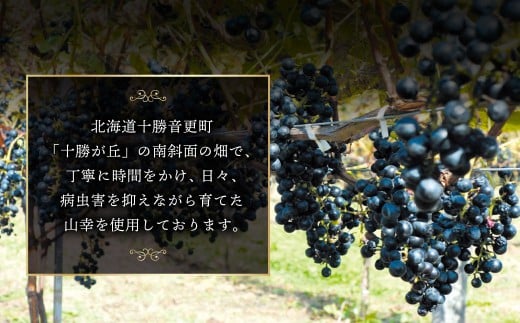 ワイン オトプケ浪漫山幸2024 750ml×1本