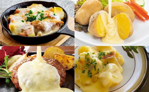 十勝ラクレット モールウォッシュ PERA 楽らくセット【A76】