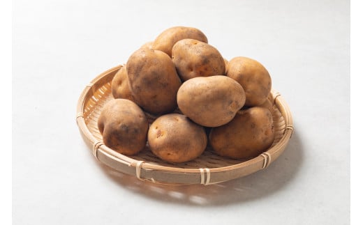 ［先行受付］おとふけ産じゃがいも「インカのめざめ」5kg（Sサイズ）【B126】