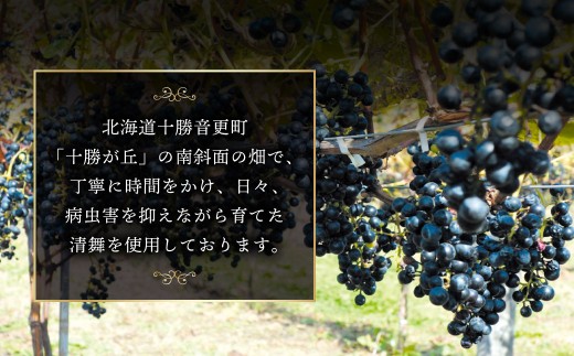 ワイン オトプケ浪漫清舞2024 750ml×1本