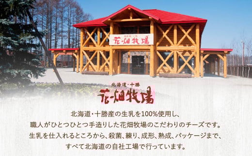 【3回定期便】花畑牧場 フレッシュチーズ2種セット（メダルモッツァレラ 約500g＋モッツァレラひとくちタイプ 約500g）【D51】 モッツァレラチーズ 北海道産