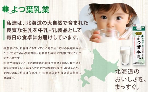 「よつ葉」北海道十勝 3種のチーズ《贅沢モッツァレラブレンド》120g×2袋【B140】