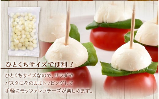 【3回定期便】 花畑牧場 モッツァレラチーズひとくちタイプ 約500g【C85】 モッツァレラチーズ 北海道産