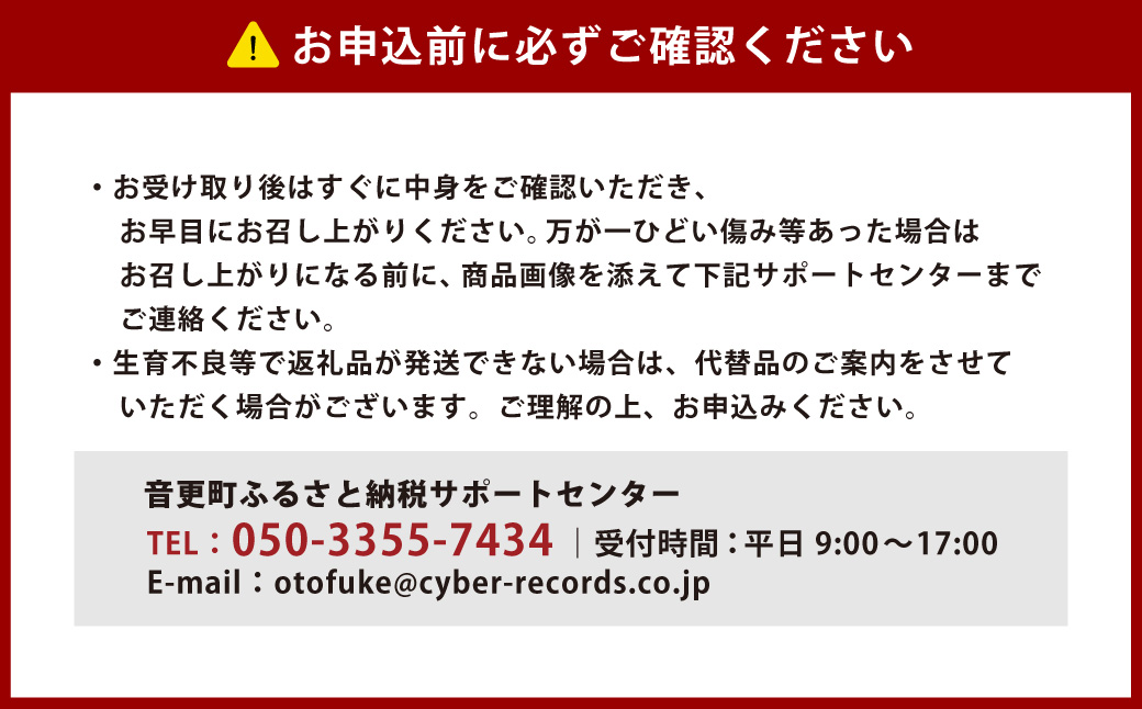 ［先行受付］北海道十勝産 ブロッコリー5玉セット【B19】 2026年9月下旬頃より順次発送予定