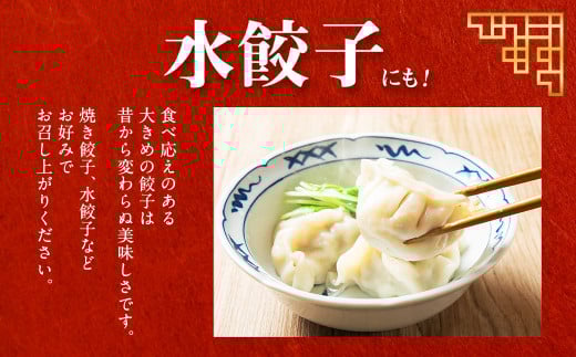  [先行受付]「音更ぎょうざの宝永」手造り冷凍餃子【B31】《令和8年5月～6月以降順次発送予定》