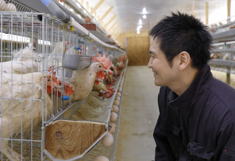 竹内養鶏場の白いたまご「米艶」と黄色いたまご「玉艶」セット【B27】