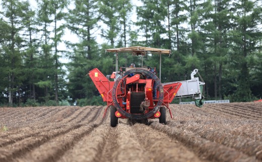 ［先行受付］おとふけ産じゃがいも「インカのめざめ」10kg（Mサイズ）【A36】2025年11月下旬頃より順次発送予定