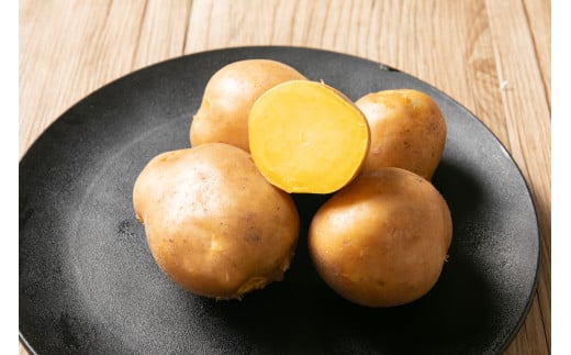 ［先行受付］おとふけ産じゃがいも「インカのめざめ」5kg（Sサイズ）【B126】