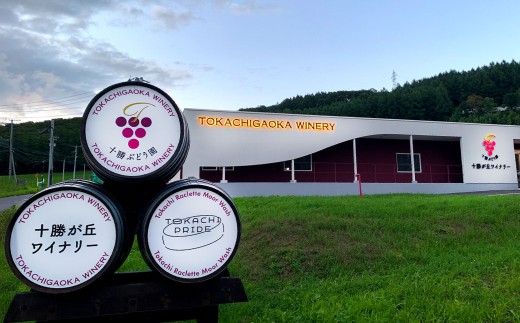 ワイン オトプケ浪漫山幸2024 750ml×1本