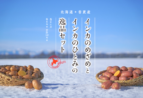 ［先行受付］インカのめざめとインカのひとみの逸品セット（Sサイズ）各6kg 合計12kg【A68】
