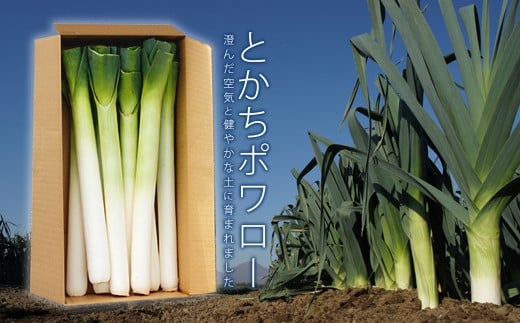〔先行受付〕「たけなかファーム」とかちポワロー（リーキ、ポロネギ）【A50】《2025年11月上旬より順次発送》