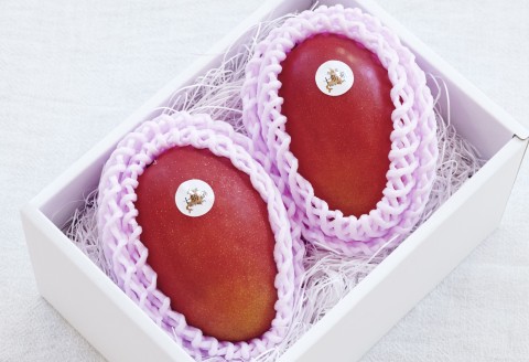 十勝マンゴー2Lサイズ×2玉【D22】