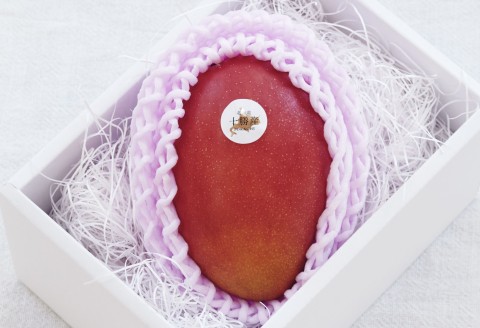 十勝マンゴー2Lサイズ×1玉【C64】