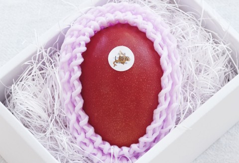 十勝マンゴーLサイズ×1玉【C63】