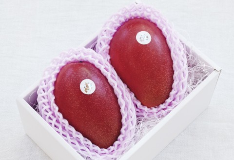 十勝マンゴー4Lサイズ×2玉【D27】