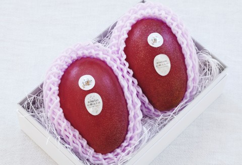 ［先行受付］冬の完熟マンゴー 白銀の太陽4Lサイズ×2玉【D28】