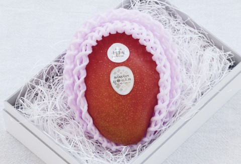 冬の完熟マンゴー 白銀の太陽2Lサイズ×1玉【D25】