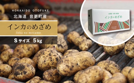 ［先行受付］おとふけ産じゃがいも「インカのめざめ」5kg（Sサイズ）【B126】