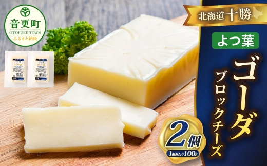 「よつ葉」北海道十勝 ゴーダ（ブロックチーズ） 100g×2個【B155】