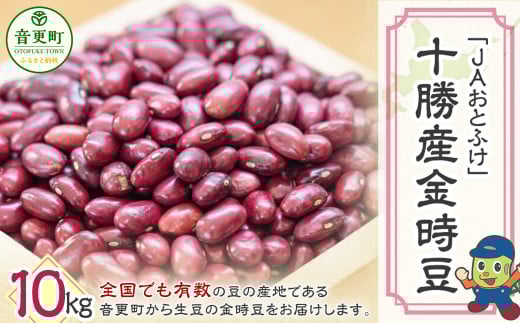 【令和7年産】 金時豆10kg「JAおとふけ」【D43】