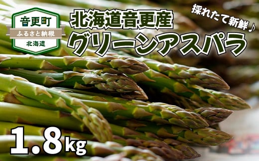 ［先行受付］おとふけ産グリーンアスパラ 1.8kg【A39】 2025年5月中旬頃より順次発送
