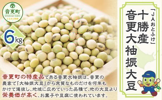 音更大袖振大豆6kg「JAおとふけ」【A48】