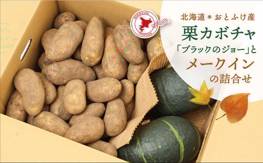 【先行受付】北海道おとふけ産 栗カボチャ「ブラックのジョー」・じゃがいも「メークイン」の詰め合わせ【B74】2025年10月下旬頃より発送予定