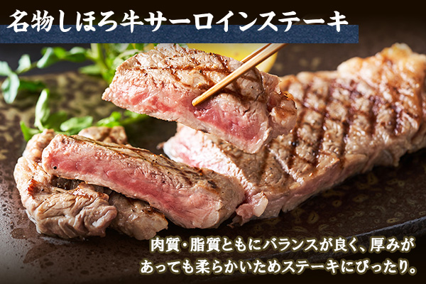 北海道 しほろ牛 サーロイン ステーキ 200g前後 1枚 ＆ しほろ牛 ハンバーグ150g 2個 セット 肉 牛 赤身肉 国産牛 肉 ビーフ 牛肉 冷凍 お取り寄せ 送料無料 十勝 士幌町【L11】