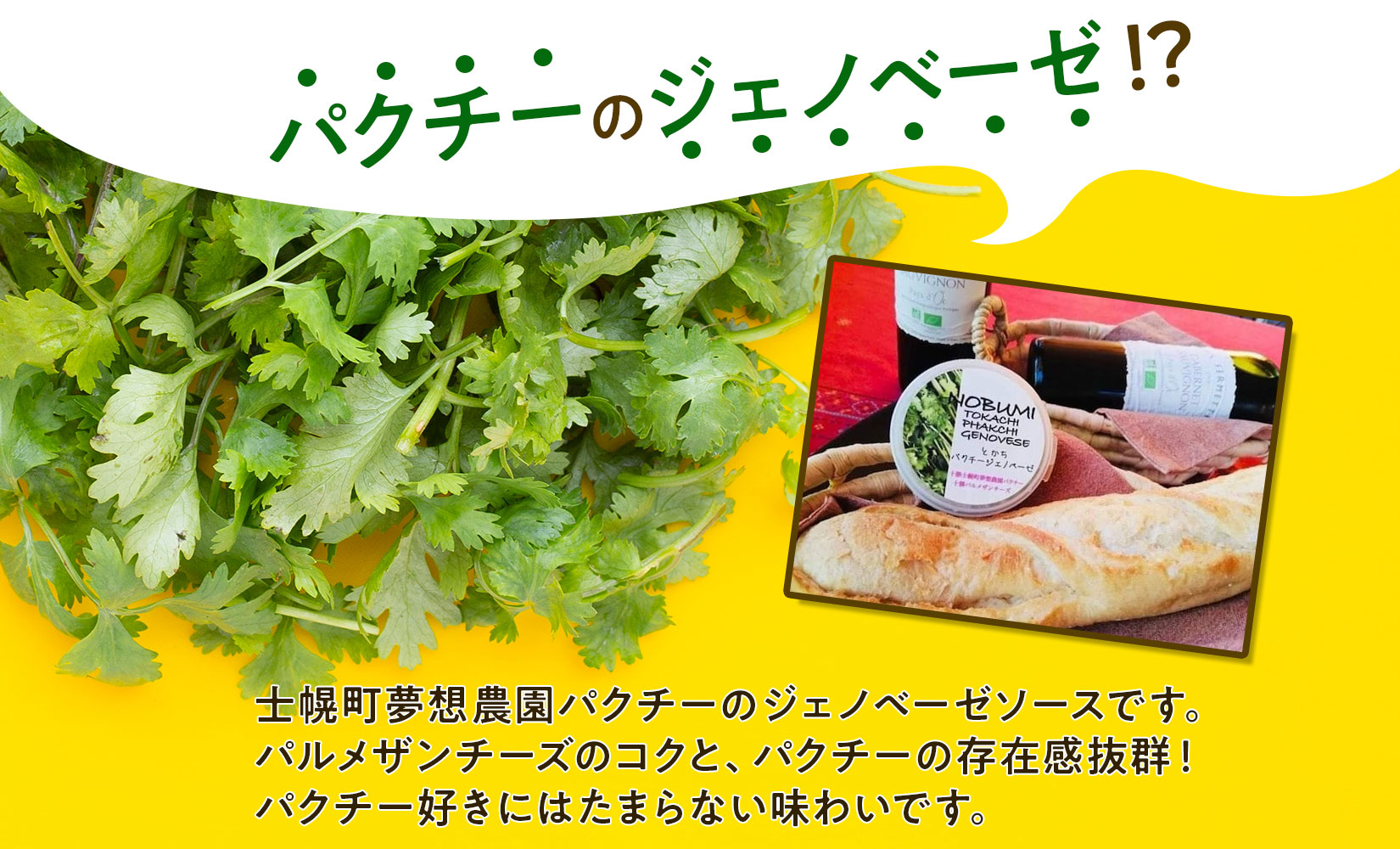 北海道 パクチー ジェノベーゼ 80g×3個 ペースト ディップソース パクラー パスタ スパゲティ おつまみ お酒のお供 冷凍 お取り寄せ 送料無料 十勝 士幌町【L39】