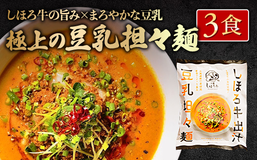 北海道 ラーメン しほろ牛 出汁ラーメン 2種食べ比べセット 2種 × 3食 計6食 ラーメン 拉麺 牛 牛肉 加工品 おかず 惣菜 お惣菜 国産 詰合せ お取り寄せ 送料無料 十勝 士幌町【L47】