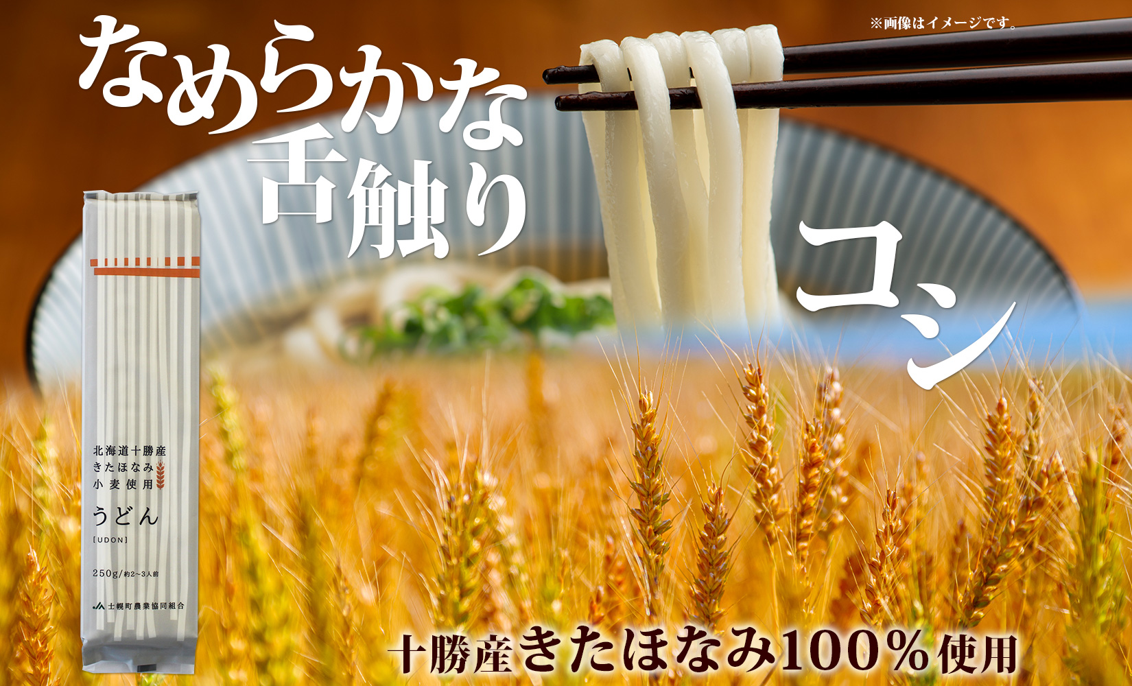 北海道産 うどん 250g×12袋 2-3人前 乾麺 干しうどん 麺 めん きたほなみ 小麦使用 小分け 個包装 保存 備蓄 贈り物 ギフト 送料無料 北海道 十勝 士幌町 【N05-2】