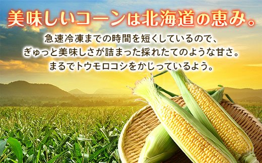 北海道 コーン 冷凍食品 1kg×2袋 セット 計2kg カーネルコーン 冷凍野菜 国産 トウモロコシ とうもろこし ホールコーン 冷凍 おかず お弁当 詰合せ お取り寄せ 送料無料 十勝 士幌町【N46】