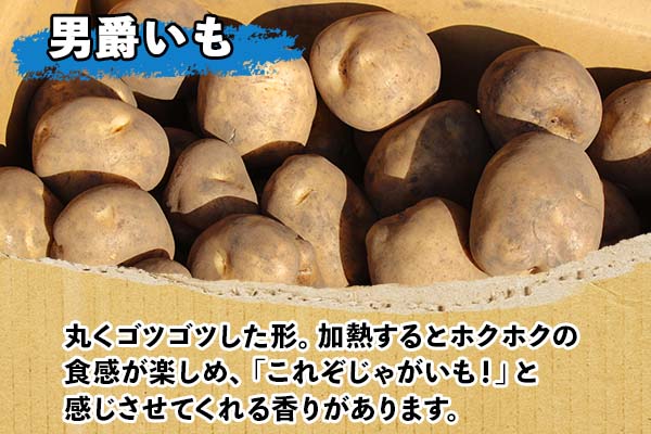 北海道 じゃがいも 男爵 10kg 北海道産 十勝産 男爵芋 男爵イモ 男爵薯 ジャガイモ 芋 いも ポテト お取り寄せ まとめ買い 送料無料 十勝 士幌町 【V03】