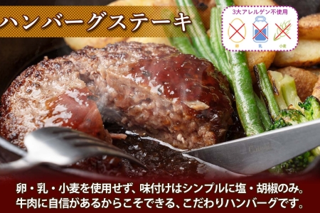 北海道 ビーフハンバーグ ステーキ 150g×5個 卵不使用 乳不使用 小麦不使用 手ごね beef 牛肉 赤身肉 国産牛 肉 ビーフ セット 加工品 おかず 惣菜 お惣菜 国産 冷凍 詰合せ お取り寄せ 送料無料 十勝 士幌町【W02】