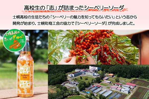 北海道 シーベリーソーダ 330ml×10本 シーベリー サイダー 炭酸飲料 サジー シーバックソーン 沙棘 スーパーフルーツ ミラクルフルーツ お取り寄せ 送料無料 十勝 士幌町【C01】