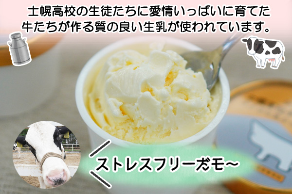 北海道 士幌高校 アイスクリーム バニラ 100ml 8個 セット アイス ミルク スイーツ カップアイス 贈り物 お取り寄せ 詰め合わせ 詰合せ 送料無料 十勝 士幌町【H03】