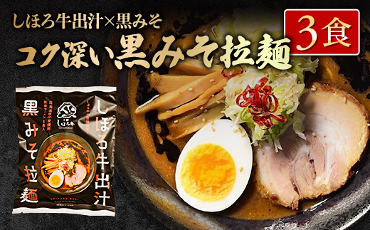 北海道 ラーメン しほろ牛 出汁ラーメン 2種食べ比べセット 2種 × 3食 計6食 ラーメン 拉麺 牛 牛肉 加工品 おかず 惣菜 お惣菜 国産 詰合せ お取り寄せ 送料無料 十勝 士幌町【L47】