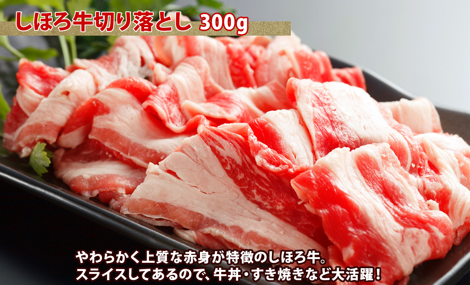 数量限定 食べ尽くし 福袋 4種 しほろ牛 フィレ サーロイン ステーキ 切り落とし ハンバーグ 牛肉 肉 惣菜 お惣菜 詰め合わせ セット お取り寄せ 道の駅 ピア21しほろ 送料無料 北海道 十勝 士幌町【L910】