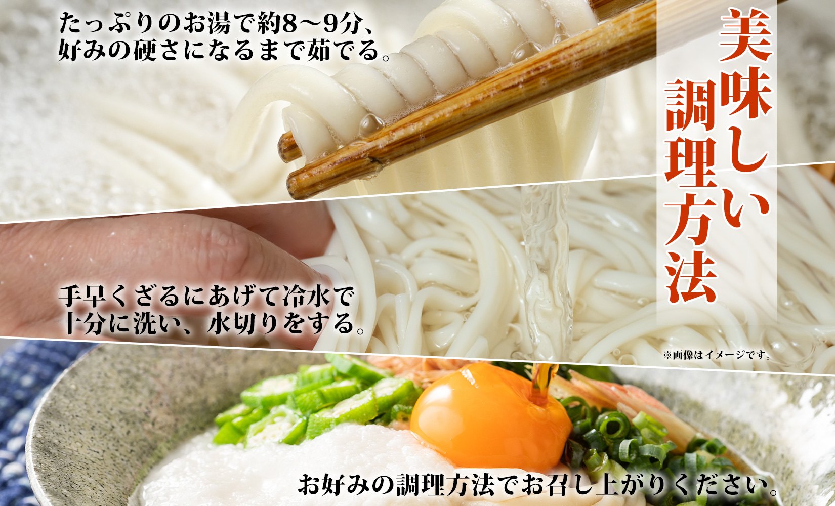北海道産 うどん 250g×12袋 2-3人前 乾麺 干しうどん 麺 めん きたほなみ 小麦使用 小分け 個包装 保存 備蓄 贈り物 ギフト 送料無料 北海道 十勝 士幌町 【N05-2】