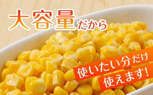 北海道 コーン 冷凍食品 1kg×2袋 セット 計2kg カーネルコーン 冷凍野菜 国産 トウモロコシ とうもろこし ホールコーン 冷凍 おかず お弁当 詰合せ お取り寄せ 送料無料 十勝 士幌町【N46】