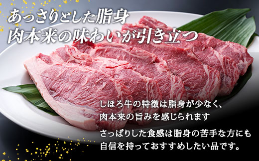 北海道 しほろ牛 若丸 サーロイン ステーキ 計1kg 牛 牛肉 ビーフ 肉 お肉 赤身 赤身肉 ブランド牛 国産 柔らかい 濃厚 おかず 冷凍 お取り寄せ 送料無料 十勝 士幌町 【SW01】
