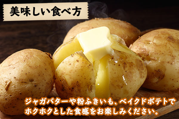 北海道 じゃがいも 男爵 10kg 北海道産 十勝産 男爵芋 男爵イモ 男爵薯 ジャガイモ 芋 いも ポテト お取り寄せ まとめ買い 送料無料 十勝 士幌町 【V03】