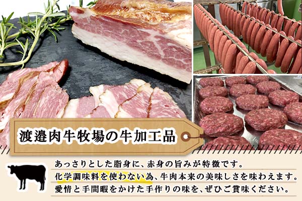 北海道 牛そぼろ煮 牛そぼろ 2袋 × 4セット 計800g 牛 beef 赤身肉 国産牛 肉 加工品 おかず 惣菜 お惣菜 おつまみ 国産 冷凍 詰合せ お取り寄せ 送料無料 十勝 士幌町【W09】