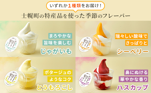 北海道 古田牧場 生 ソフトクリーム 2種 140ml×12個 ミルク 季節限定 牧場 アイスクリーム 牛乳 生乳 スイーツ デザート 詰め合わせ 詰合せ 十勝 士幌町【MB01】