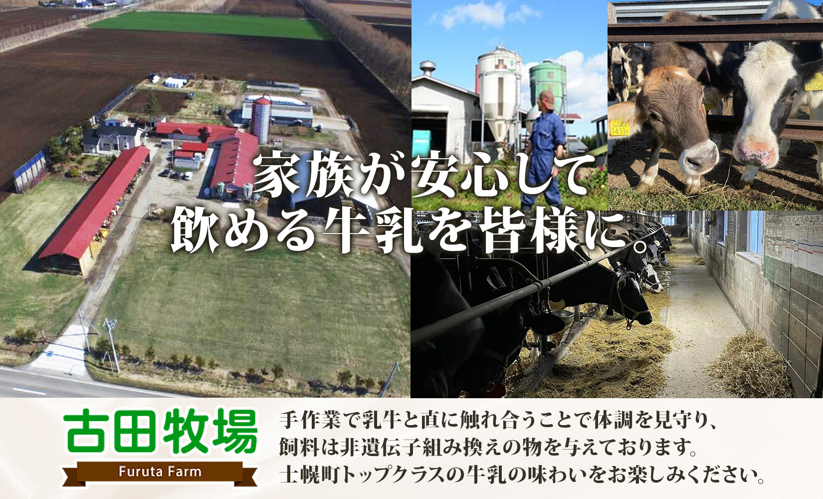 北海道 古田牧場 アイスクリーム ミルク 12個 セット 牧場 アイス 牛 牛乳 生乳 スイーツ デザート おやつ カップアイス 贈り物 お取り寄せ 詰め合わせ 詰合せ 十勝 士幌町【MB02】