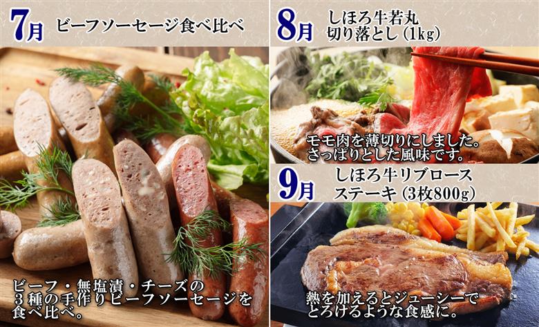 ■定期便■ 北海道 牛肉づくし 定期便 全11回 牛肉 サーロイン ステーキ リブロース 切り落とし ローストビーフ 肉 牛 赤身肉 国産牛 肉 ビーフ 牛肉 冷凍 お惣菜 焼肉 頒布会 送料無料 十勝 士幌町【X36】