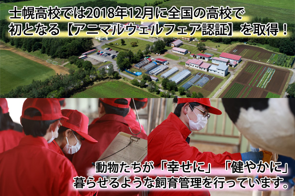 北海道 士幌高校 アイスクリーム バニラ 100ml 8個 セット アイス ミルク スイーツ カップアイス 贈り物 お取り寄せ 詰め合わせ 詰合せ 送料無料 十勝 士幌町【H03】