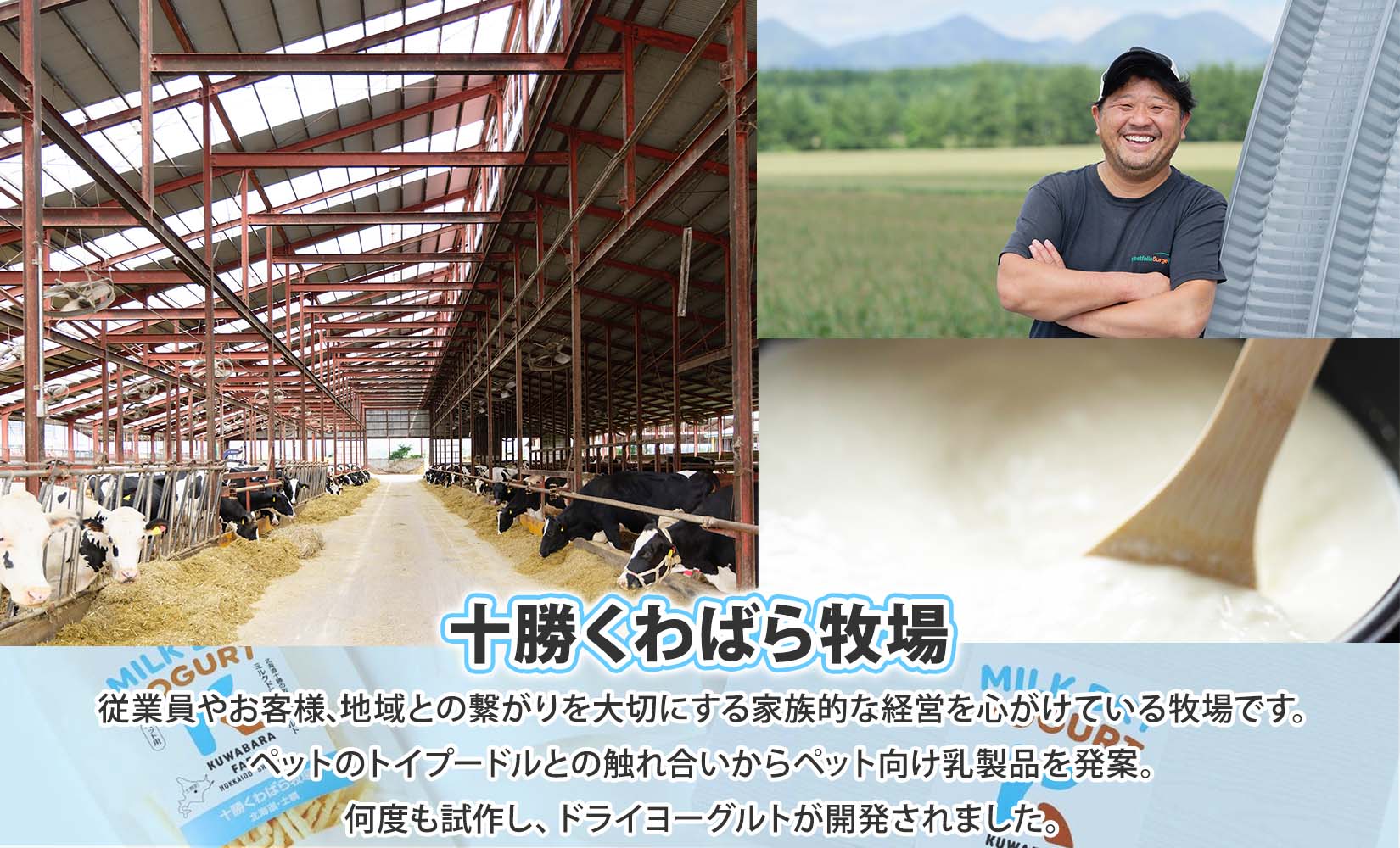 十勝 ミルクドライヨーグルト  ペット用 40g×3袋 ヨーグルト ミルク 乳酸菌 ペットフード 犬用 猫用 小動物用 おやつ ドライフード スティック お取り寄せ 無添加 ギフト 北海道 十勝 士幌町 【KW01】