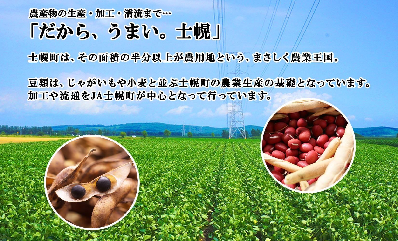 北海道 士幌産 甘さほんのり 士幌の煮豆 （大正金時） 55g×6個 大正金時 セット 金時豆 きんときまめ 金時 赤いんげん豆 豆 お取り寄せ 送料無料 十勝 士幌町【N14】