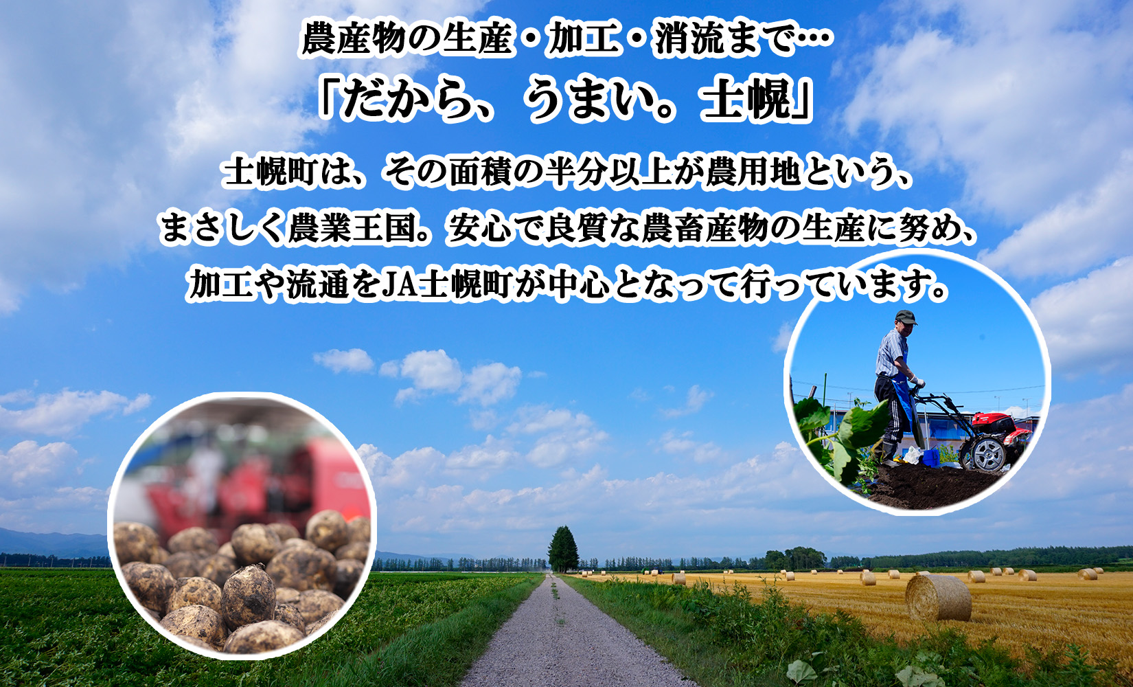 北海道 いもだんご フライドポテト 冷凍食品 2種 セット ポテト いももち いも団子 ジャガイモ じゃがいも 冷凍 おやつ おかず お弁当 詰合せ お取り寄せ 十勝 士幌町【N24】